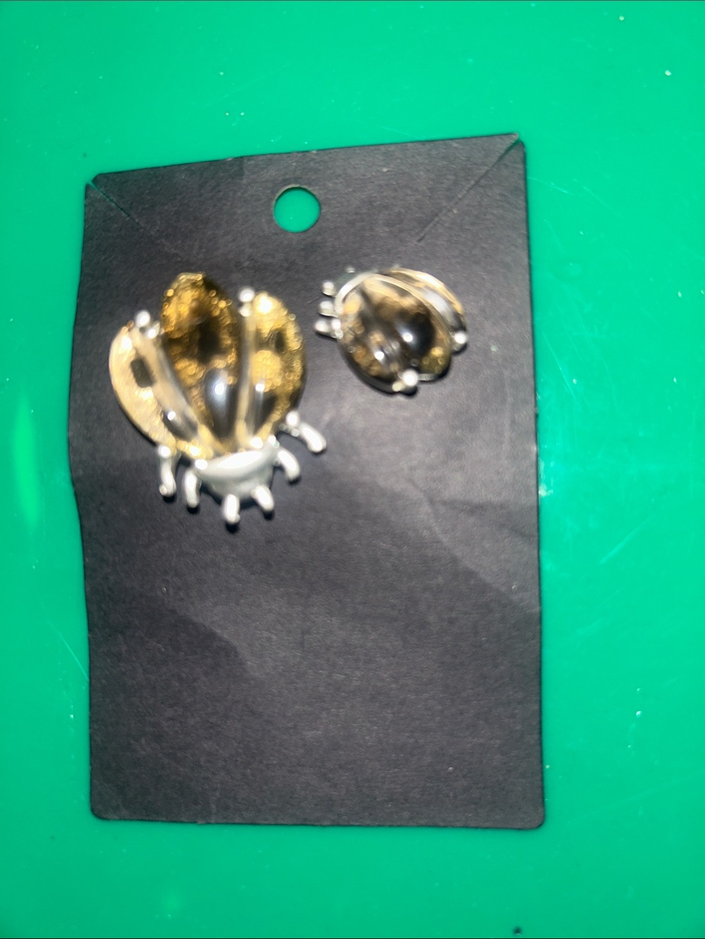 Silver Bug Brooch and Pin Set